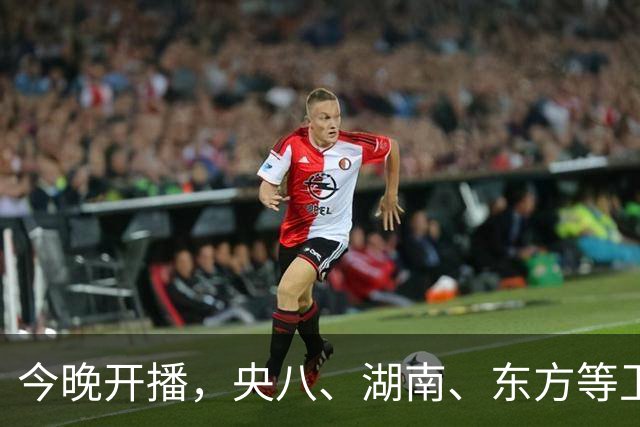 今晚开播，央八、湖南、东方等卫视黄金档排播4部大剧，追哪部