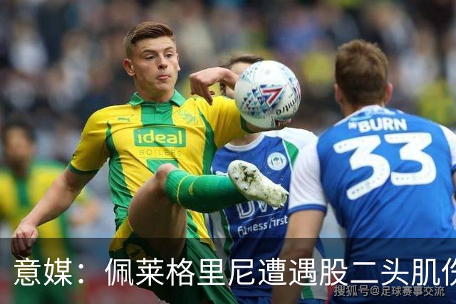 意媒：佩莱格里尼遭遇股二头肌伤病，初步预估将缺阵约四周