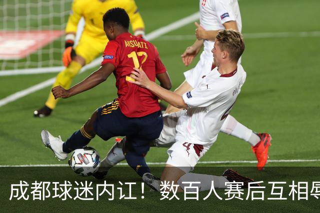 成都球迷内讧！数百人赛后互相辱骂 男球迷接受采访：可以说脏话吗？