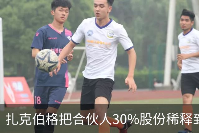 扎克伯格把合伙人30%股份稀释到0.03%，展现资本世界的残酷