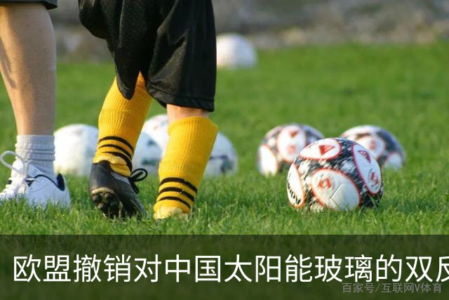 欧盟撤销对中国太阳能玻璃的双反关税，中国份额只剩3%：门开了，可门里站着的已经是印度人