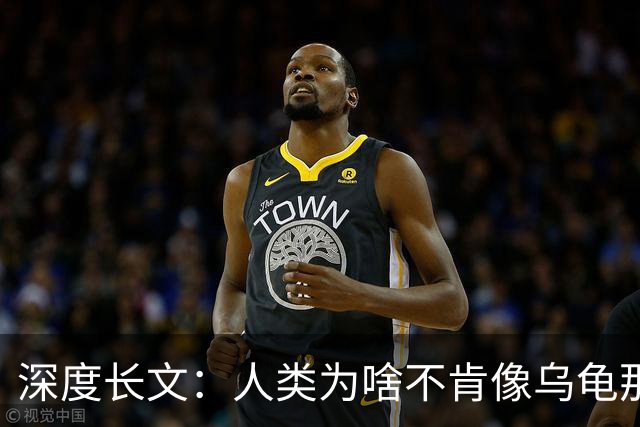 深度长文：人类为啥不肯像乌龟那样吃一顿管好几天？