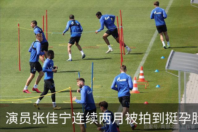 演员张佳宁连续两月被拍到挺孕肚现身，本人及工作室均未正面回应；此前表示结婚会公开，受父母婚姻影响称坚决不会离婚，未来生两个孩子
