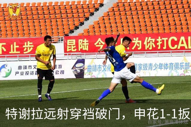 特谢拉远射穿裆破门，申花1-1扳平新鹏城