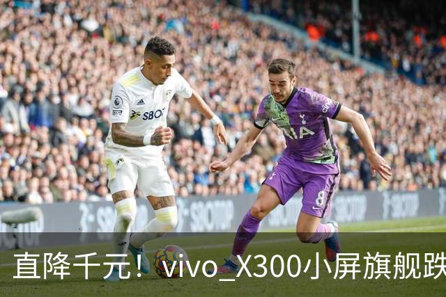 直降千元！vivo X300小屏旗舰跌到3199