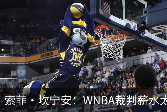 索菲·坎宁安：WNBA裁判薪水太低 如果能提高待遇 他们会更投入