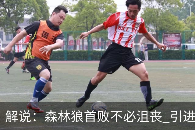 解说：森林狼首败不必沮丧 引进三球释放华子火力的设想已获成功