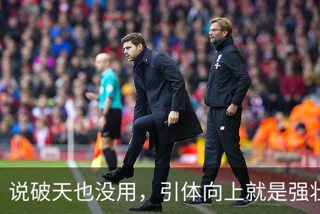 说破天也没用，引体向上就是强壮与否唯一标准，拉不起来就是不行