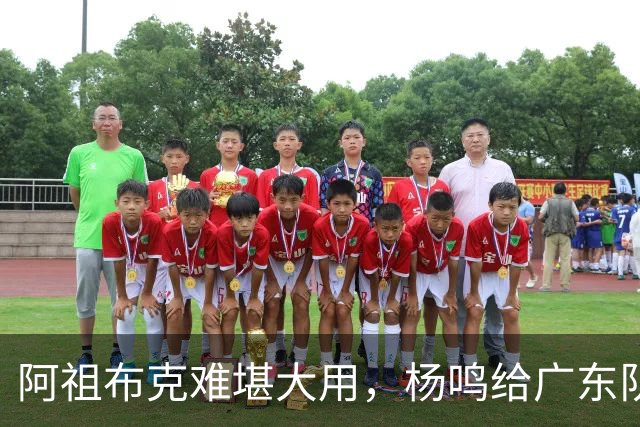 阿祖布克难堪大用，杨鸣给广东队支招，赶紧签回莫兰德，便宜好用